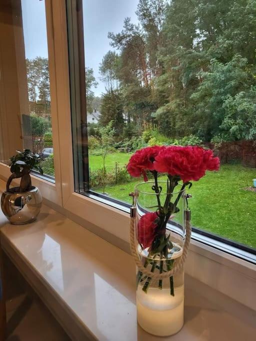 Appartamento Haus Am Walde Müllrose Esterno foto