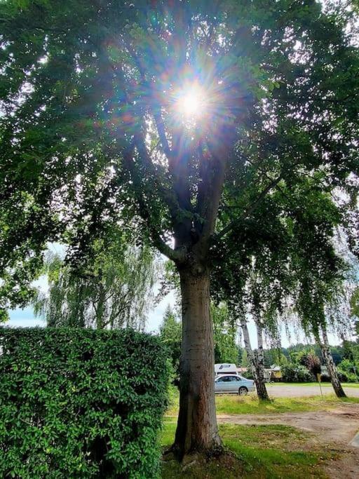 Appartamento Haus Am Walde Müllrose Esterno foto