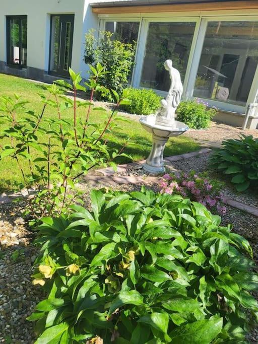 Appartamento Haus Am Walde Müllrose Esterno foto