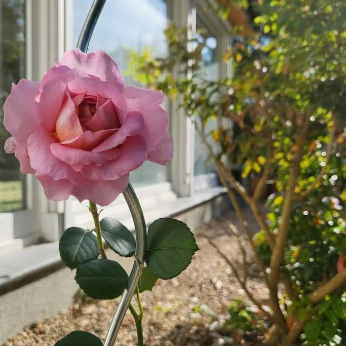 Appartamento Haus Am Walde Müllrose Esterno foto