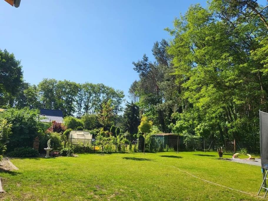 Appartamento Haus Am Walde Müllrose Esterno foto