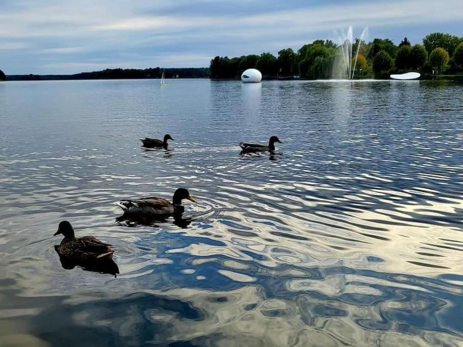 Appartamento Haus Am Walde Müllrose Esterno foto